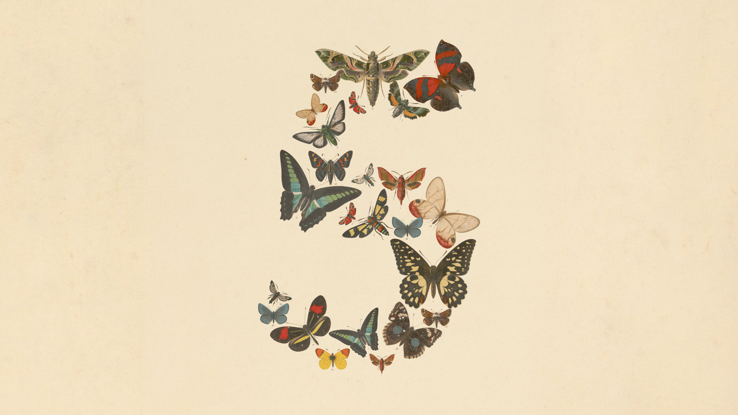 Claude Fable 5 by Anthropic